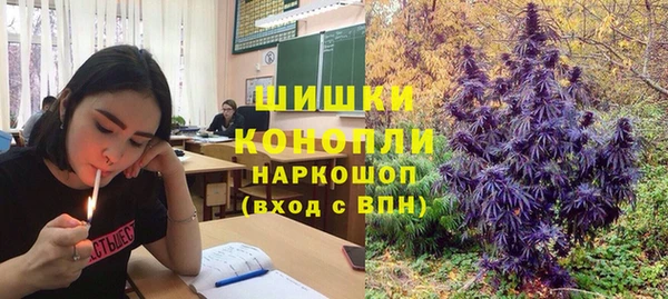 гидропоника Новозыбков