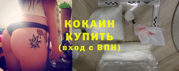 гидропоника Новозыбков