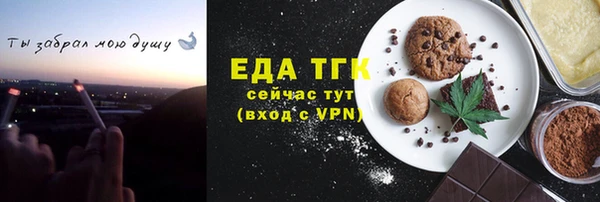 индика Гусь-Хрустальный