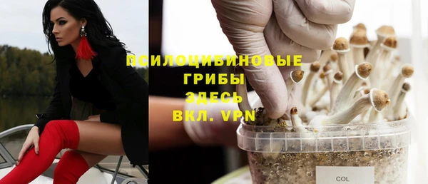 гашиш Новокубанск