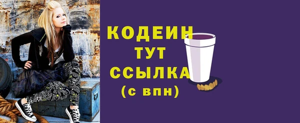 герыч Новодвинск
