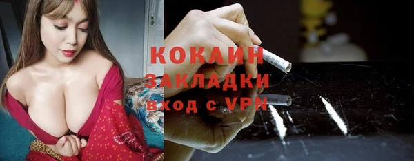 гидропоника Новозыбков