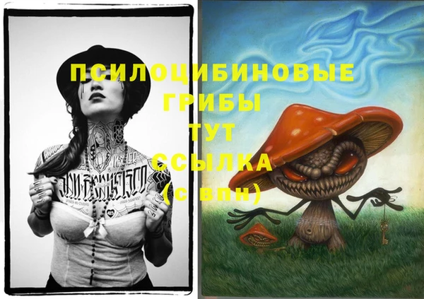 гашиш Новокубанск