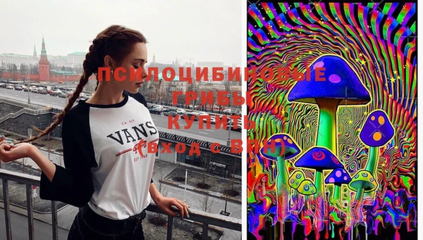 гидропоника Новозыбков