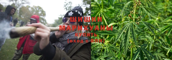 гидропоника Новозыбков